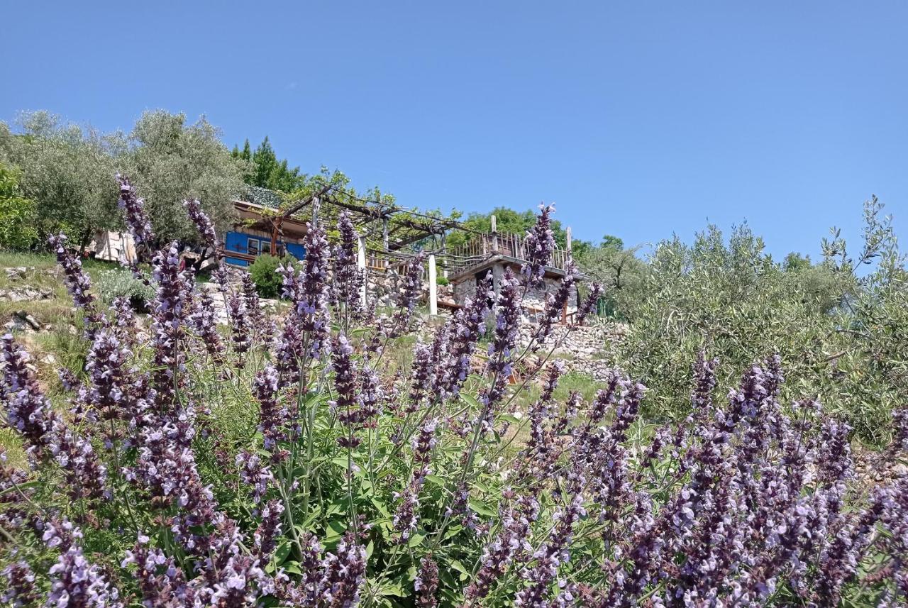 Casa Delle Olive Villa Mošćenička Draga Exteriör bild