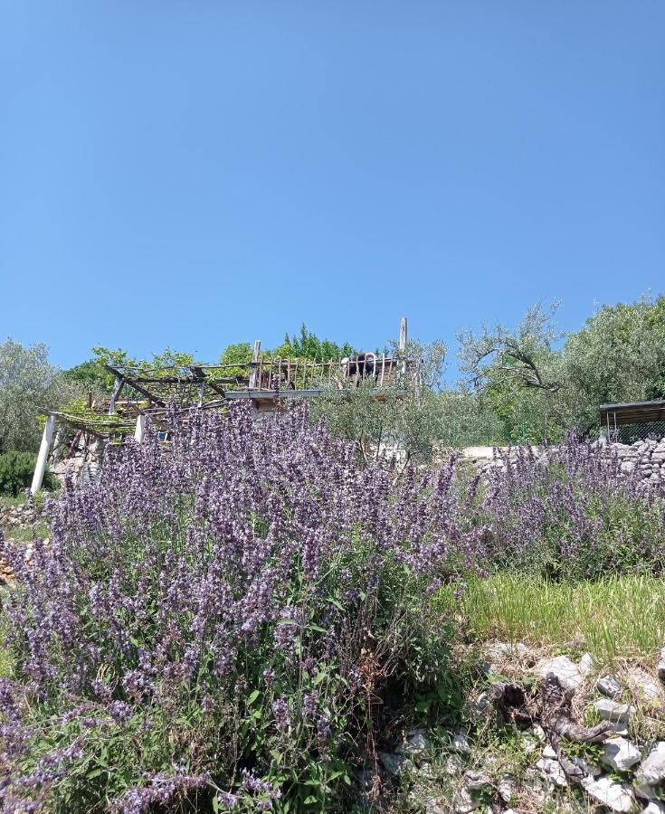 Casa Delle Olive Villa Mošćenička Draga Exteriör bild